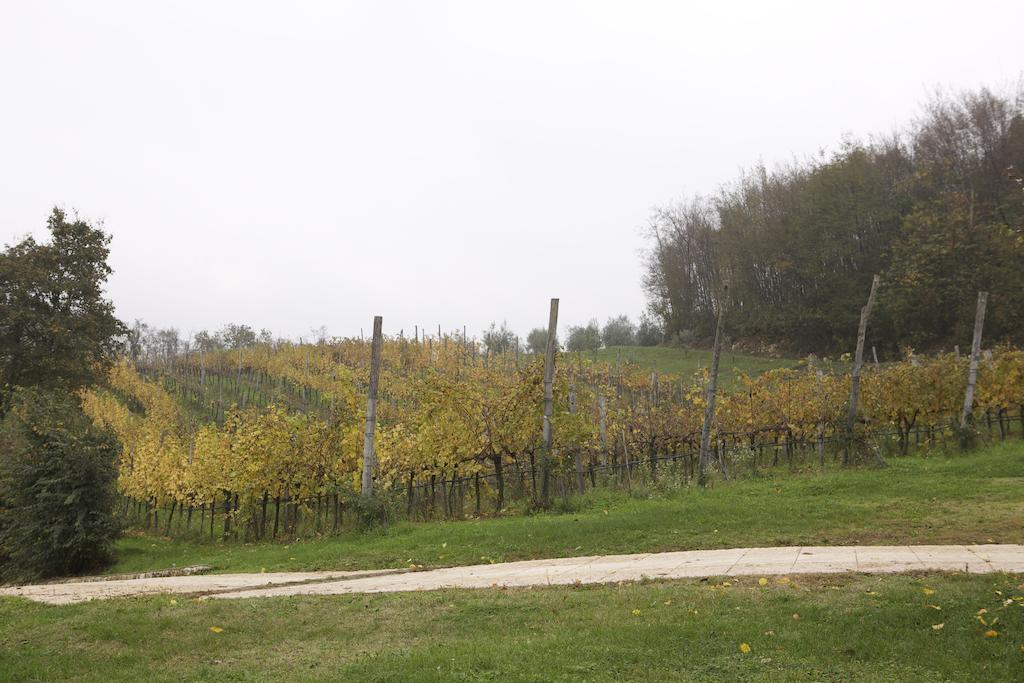Agriturismo Marani Arcugnano Exteriör bild