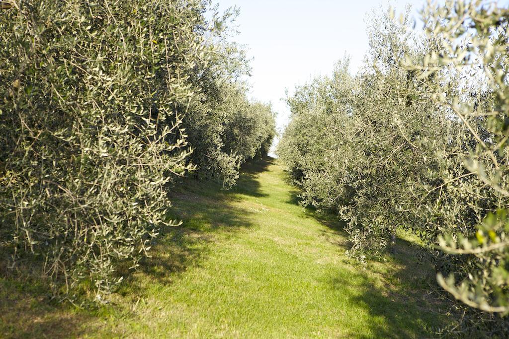 Agriturismo Marani Arcugnano Exteriör bild